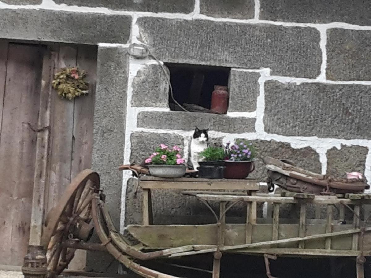 Appartamento Landurlaub Bei Familie Haug Freyung Esterno foto
