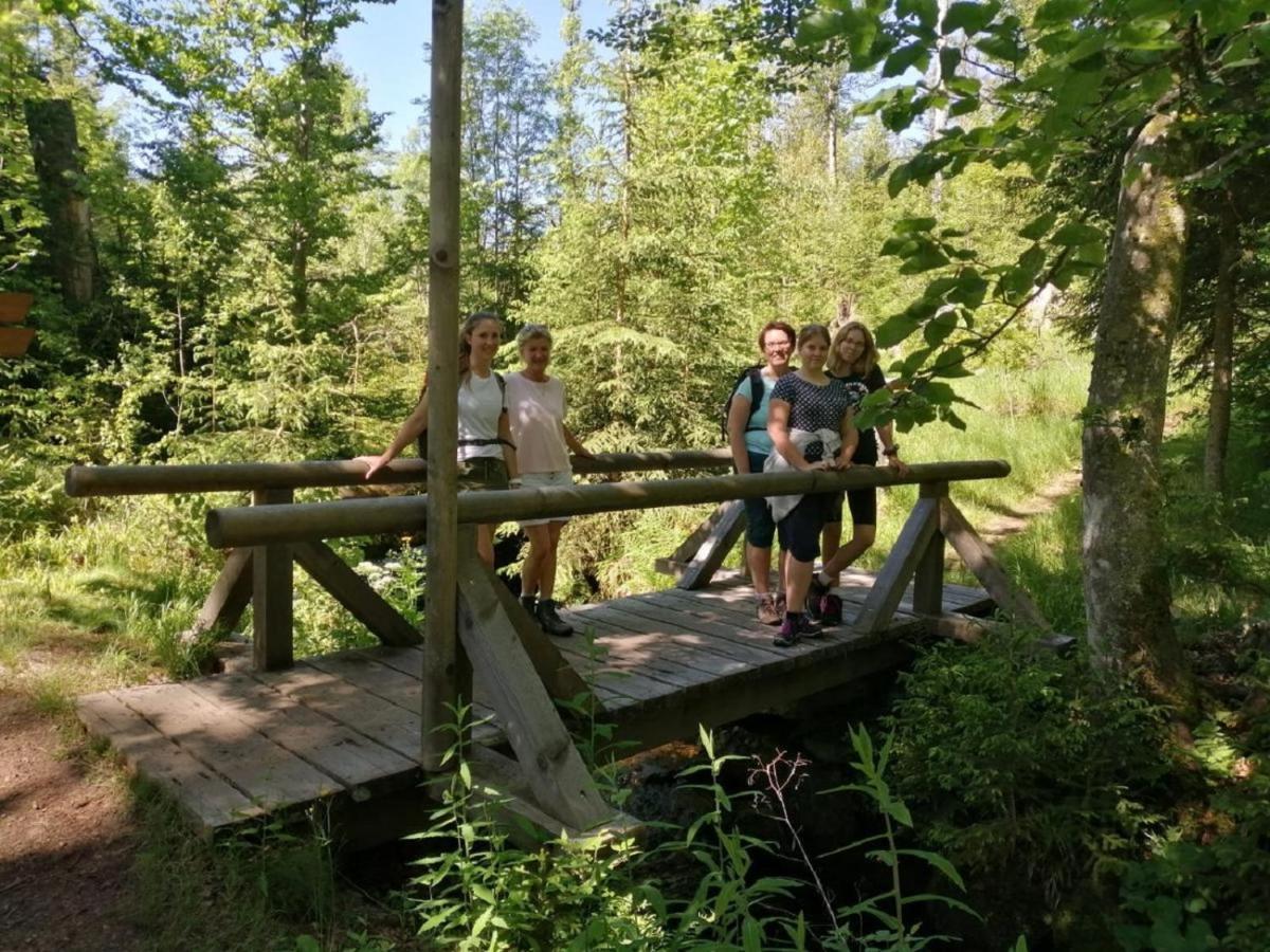 Appartamento Landurlaub Bei Familie Haug Freyung Esterno foto