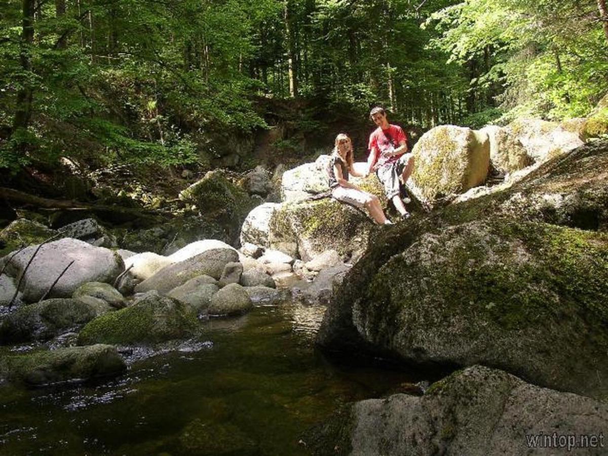 Appartamento Landurlaub Bei Familie Haug Freyung Esterno foto