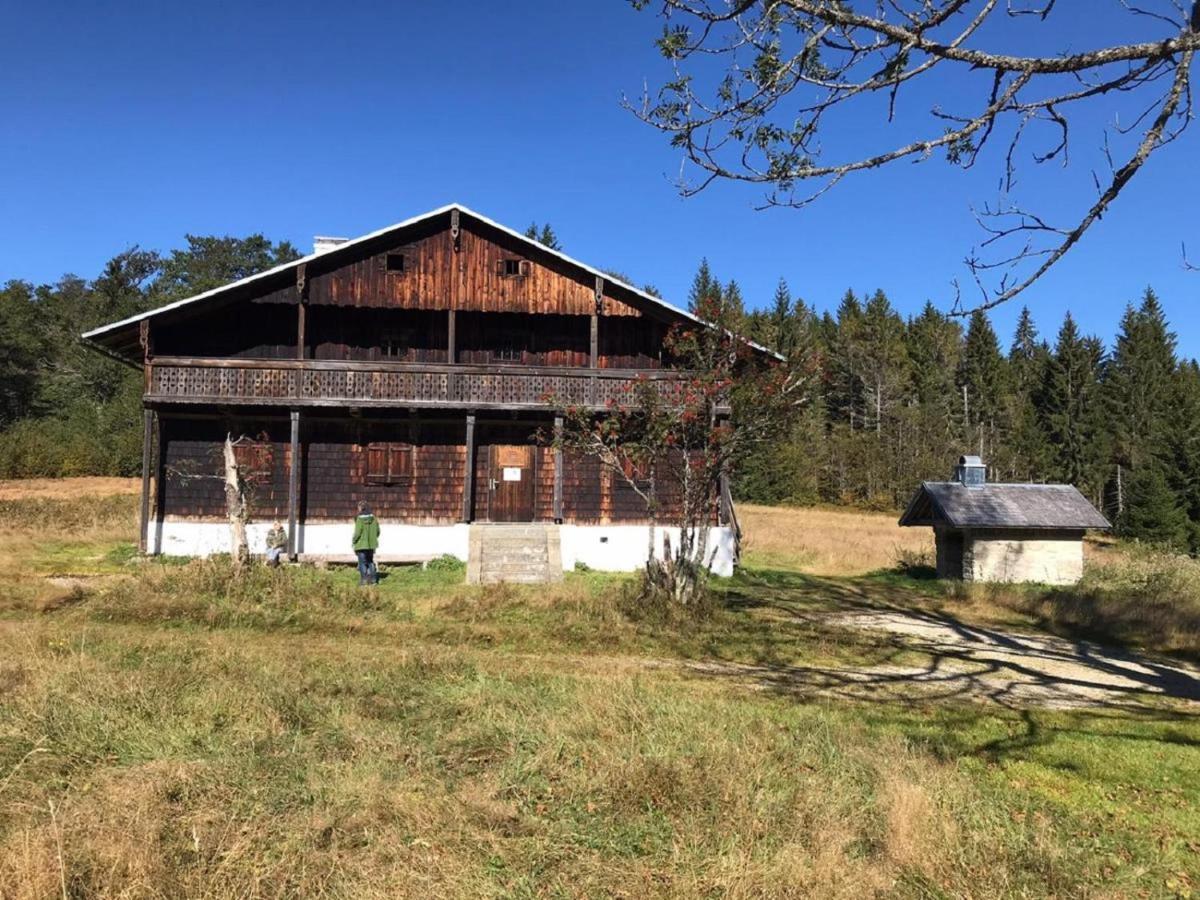 Appartamento Landurlaub Bei Familie Haug Freyung Esterno foto