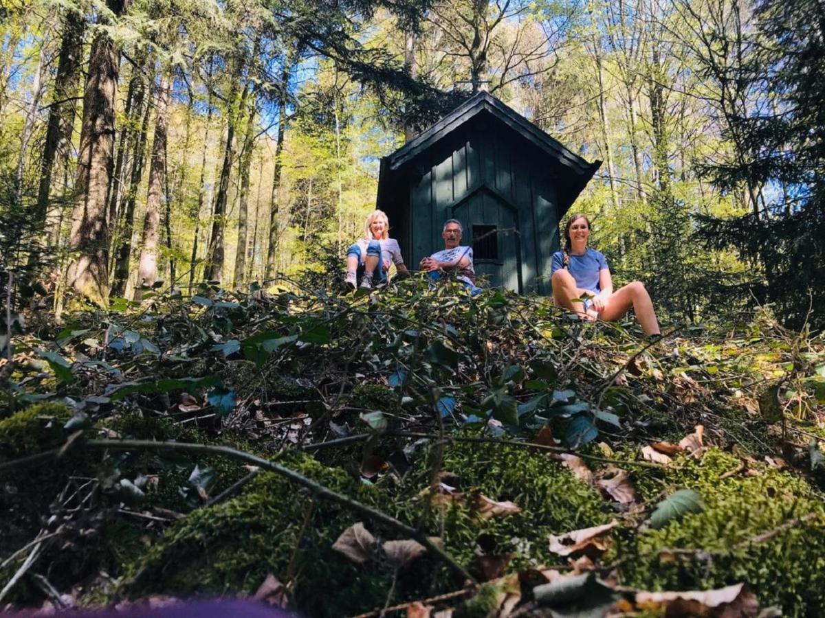 Appartamento Landurlaub Bei Familie Haug Freyung Esterno foto